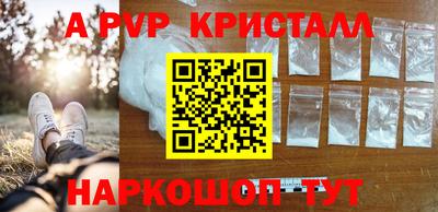 ешки Гатчина